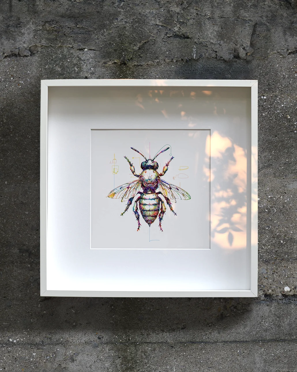 bombus bee beton zemin üzerinde