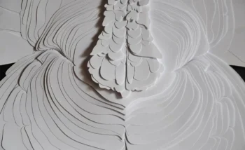 albino hindi kademeli kesim kağıt katmanları detayı