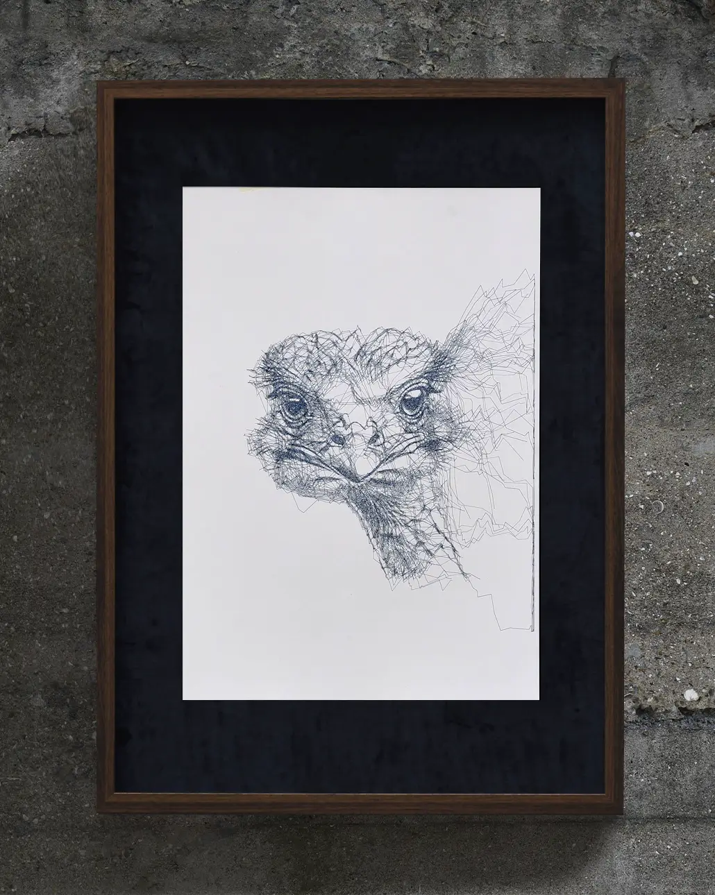koyu zeminde devekuşu sanat çalışması