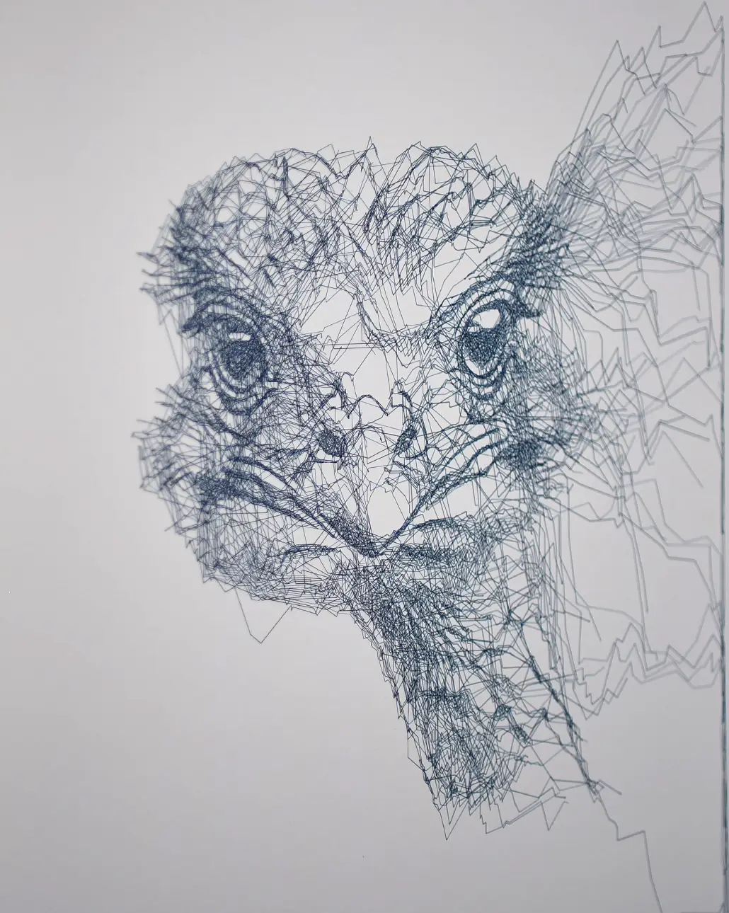 devekuşu portre detayı pen plot art bokeh etkisi