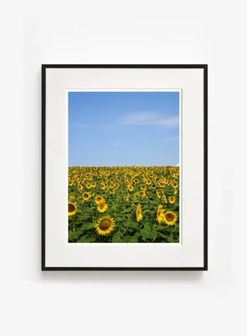 Tüm formların aynı noktaya yönelmesi bireyselliğin geri çekildiği kolektif duruşu anlatır, çağdaş sanat bağlamında fotoğraf eseri.